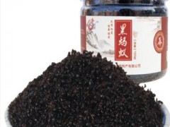 黑蚂蚁的功效与作用 关于黑蚂蚁的三大功效一定要知道