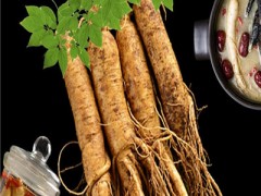 鲜人参的功效与作用 讲解鲜人参的三大功效和作用