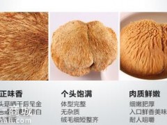 猴头菇怎么吃最养胃 盘点三大养胃吃法