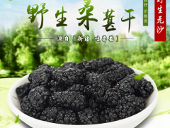 桑葚泡酒的功效与禁忌 详解桑葚的五大营养功效