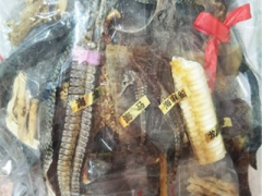 狗鞭的禁忌多吗 盘点狗鞭的禁忌人群和服用注意事项