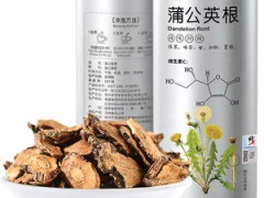蒲公英根的功效与作用 盘点蒲公英根的五大用处