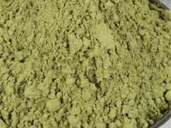 蒲公英粉真假辨别 简单几招轻松扫雷