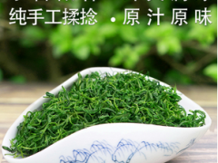 小叶苦丁茶的功效与禁忌是什么 详解小叶苦丁的四个作用与三个禁忌
