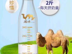 骆驼奶粉怎么样 盘点骆驼奶粉的三大优势
