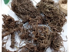 缬草的作用和危害 细说缬草作用与危害
