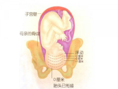临产前几天的征兆 临产前要注意什么