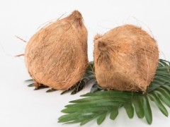 椰子油的功效与作用及使用方法 详解其功效及用法