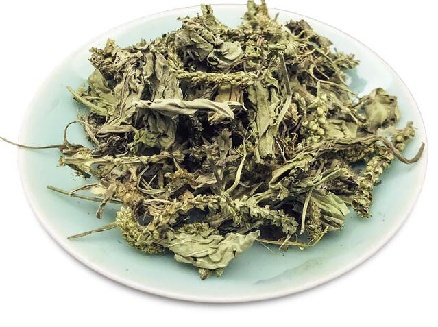 车前草