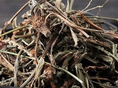 车前草能治痛风吗 车前草的功效与作用