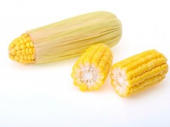 玉米的功效与作用 盘点玉米三大功效和禁忌