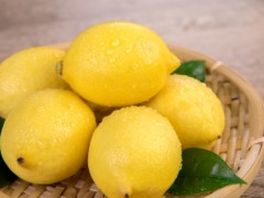清肺润肺吃什么好 三种食物清肺养肺效果好