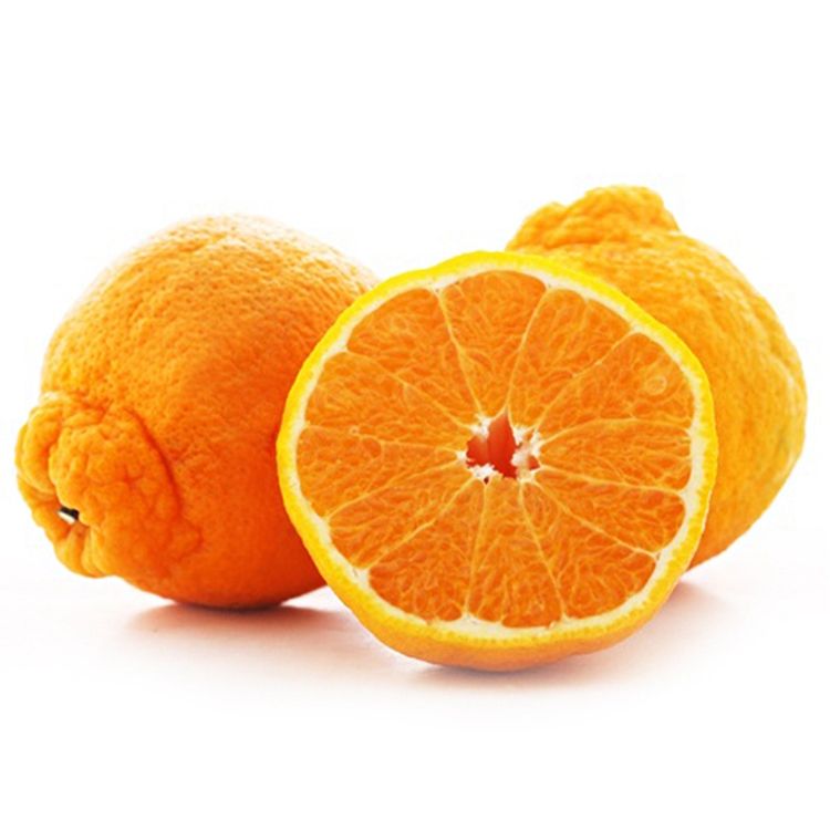 丑柑
