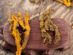 黄连的功效与作用 双黄连煎水的注意事项