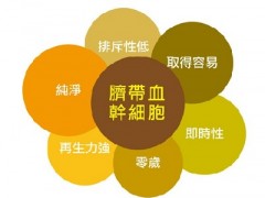 脐带血的作用有什么 脐带血有哪些功能