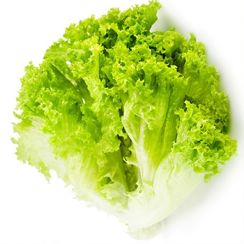 蔬菜