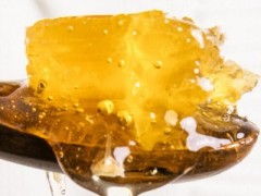 用蜂蜜来减肥的吃法有哪些 分享三种正确的蜂蜜减肥方法