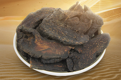 肉苁蓉