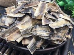 地龙干要多少钱一斤 地龙干的价格和作用