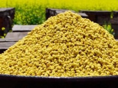 蜂花粉的价格多少钱一斤蜂花粉的功效有哪些