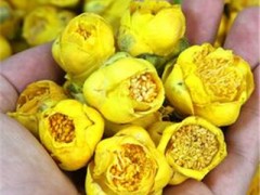 金花茶的价格多少钱一斤 金花茶有什么作用