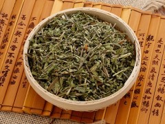 10大抗肿瘤的中草药有哪些 这十种中草药要知道