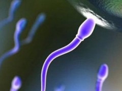 如何提高精子活力  7种有效方法提高精子活力