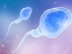 精子成活率多少正常 达到多少才是正常值
