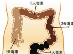 胖大海泡水喝的功效有哪些 浅析胖大海四大用处