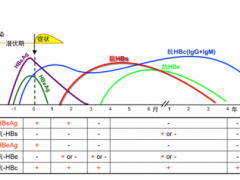 乙肝五项对照表 一分钟教你看懂乙肝五项