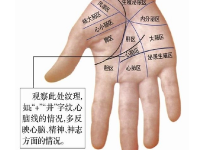 肝掌和正常手掌的区别图片