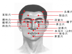 头部穴位图 29大头部穴位图文介绍(位置、主治、感觉)