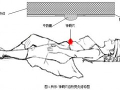 神阙穴的作用 三种疗效利于身