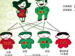 血色素正常值是多少 低于多少要注意