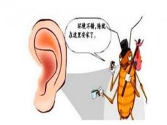 中耳炎偏方 几种治疗中耳炎的小窍门