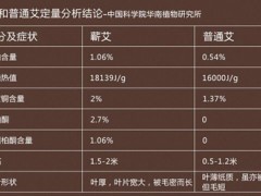 艾灸涌泉穴的最好时间 揭秘艾灸的方法