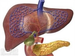 什么是肝胆湿热 详解肝胆湿热的症状及治疗