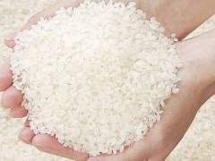 大米有点发霉怎么办 解决大米发霉的方法大集结