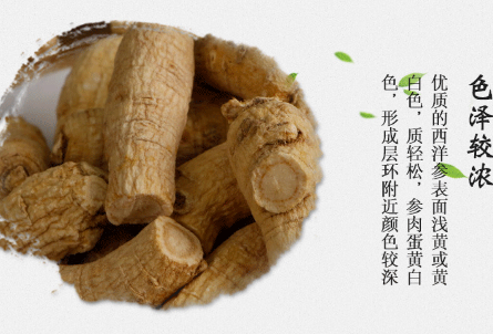 西洋参含片的作用