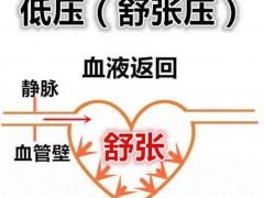 低压高的原因是什么 揭秘3大低压高的原因