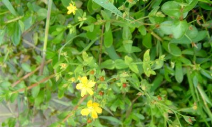 20211103091326