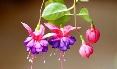20211104082611
