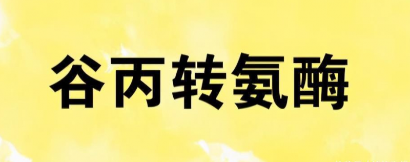QQ截图20211105083605