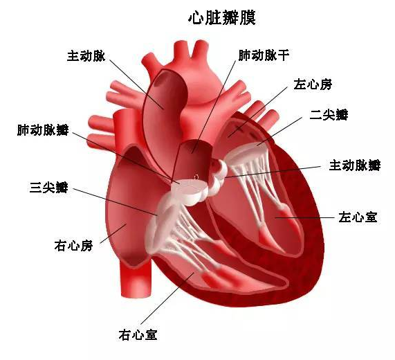 QQ截图20211105085957