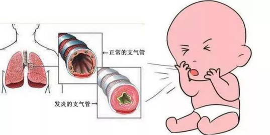 QQ截图20211105093944