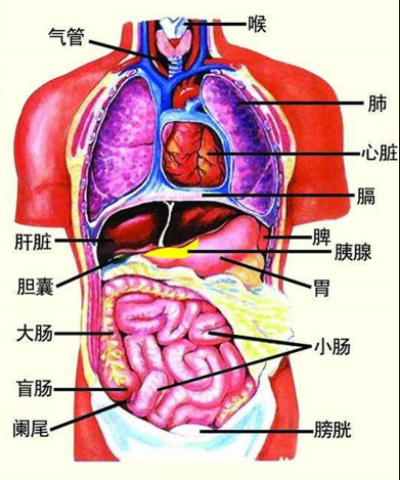 QQ截图20211105094429