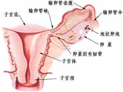 QQ截图20211105095139