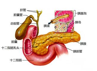 QQ截图20211105101925