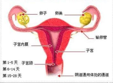 QQ截图20211105105334