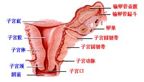 QQ截图20211105113518